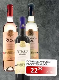DOMENIILE SAMBURESTI DIVSORT