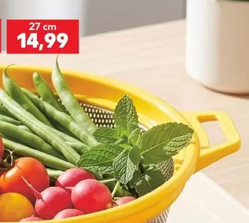 Fresh Vegetables