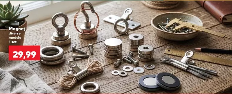 Magnet