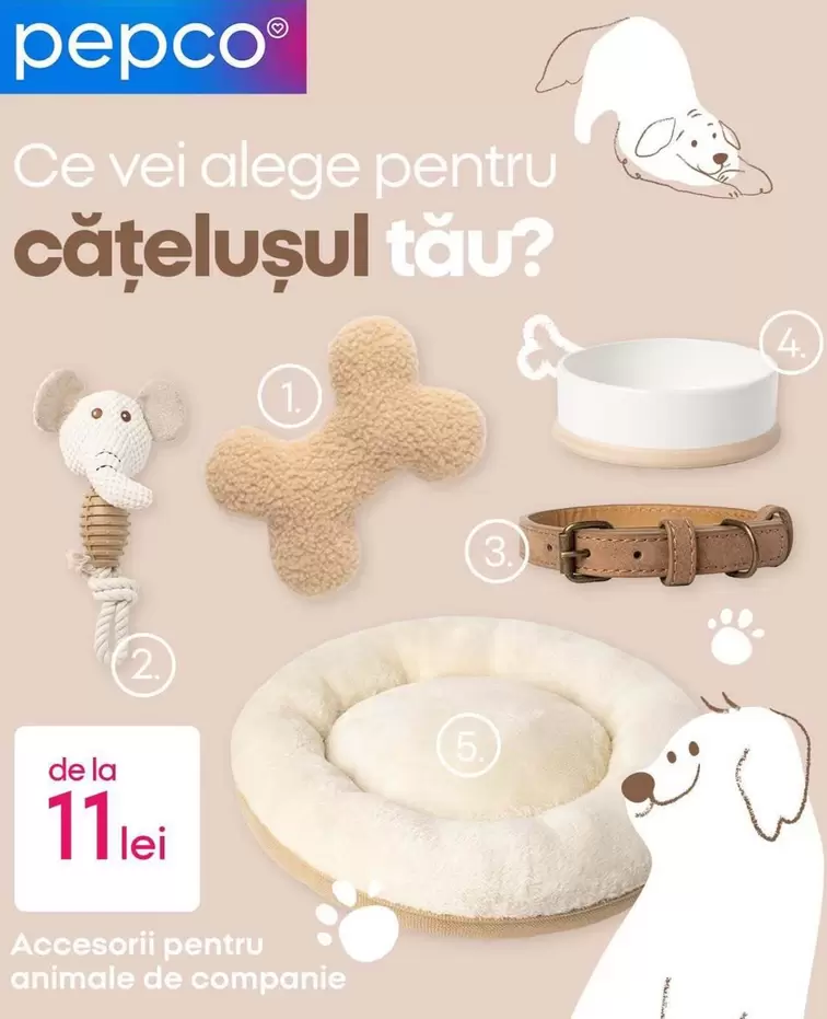 Accesorii pentru animale de companie