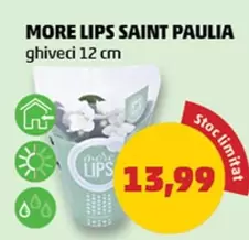 MORE LIPS SAINT PAULIA