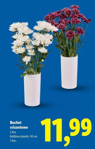 Buchet crizanteme