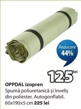 Izopren
