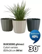 BUKSEBIE ghiveci