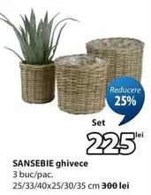 SANSEBIE ghivece