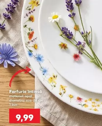 Farfurie Intinsă