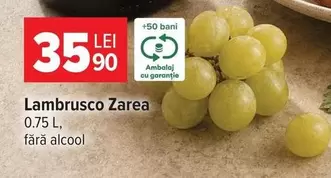 Zarea - Lambrusco