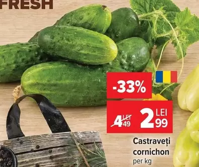 Castraveți cornichon