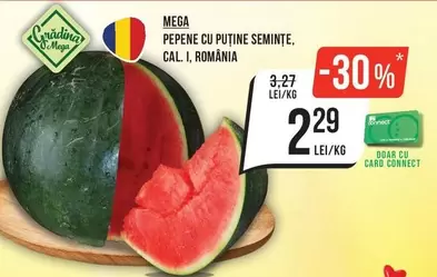 MEGA PEPENE CU PUTINE SEMINTE