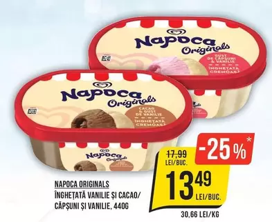 Inghetata Vanilie si Cacao/Capsuni si Vanilie