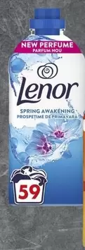 Spring Awakening