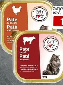 Jo - Pate cu pasare Pate with poultry