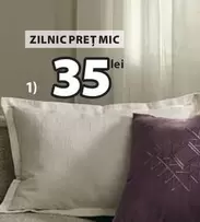ZILNIC PREȚ MIC
