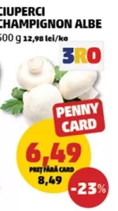 CIUPERCI CHAMPIGNON ALBE