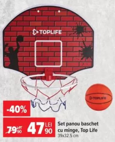 Set panou baschet cu minge
