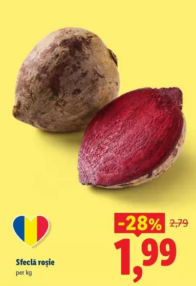 Sfeclă roșie