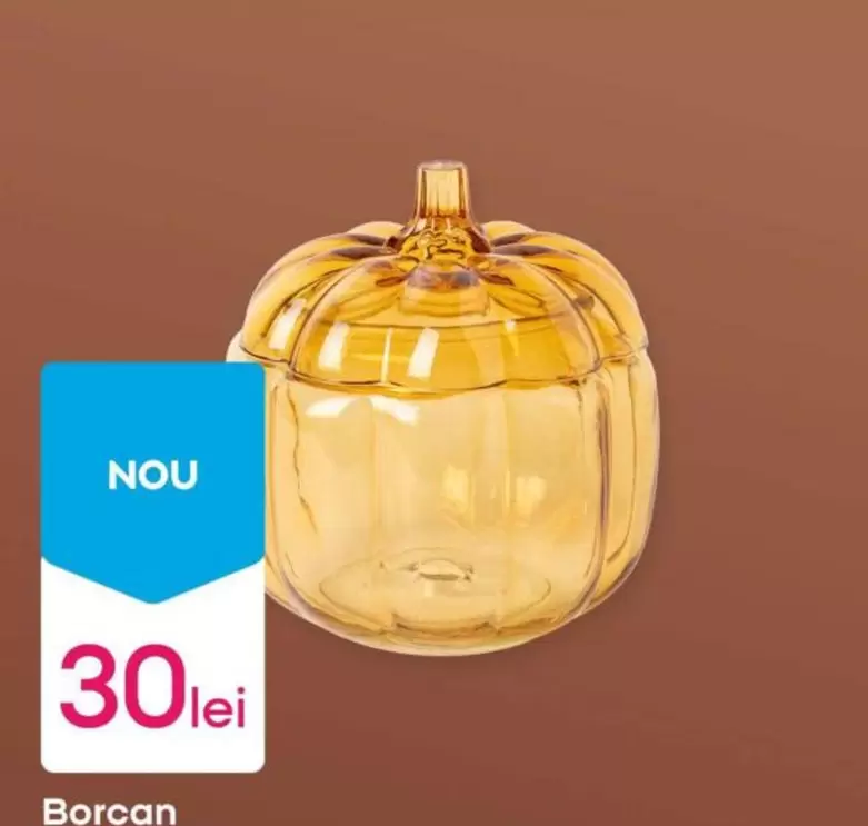 Borcan