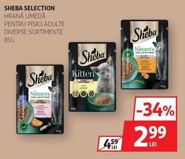 HRANĂ UMEDĂ PENTRU PISICI ADULTE DIVERSE SORTIMENTE