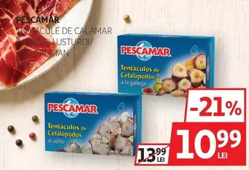 Tentaculos de Cefalopodos