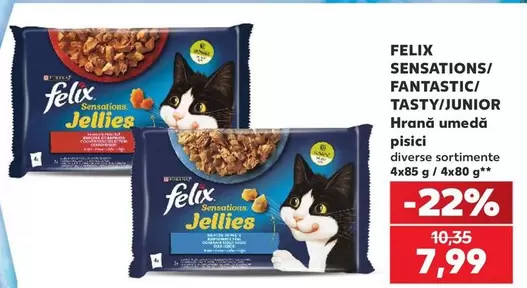 SENSATIONS/FANTASTIC/TASTY/JUNIOR