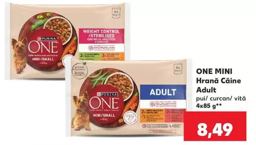 Purina - ONE MINI Hrană Câine Adult