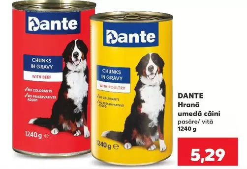 Hrana umedă câini