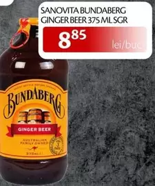 GINGER BEER 375 ML SGR