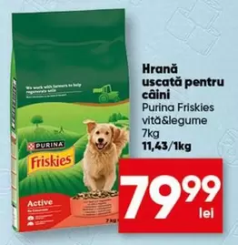 Purina - Hrană uscată pentru câini