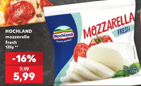 Mozzarella Fresh