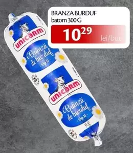 BRANZA BURDUF