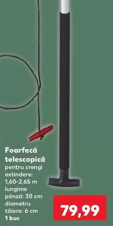Parkside - Foarfeca Telescopica