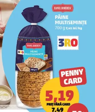 Paine Multisemințe