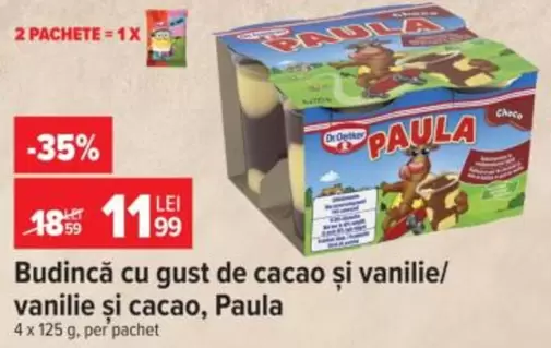 Budincă cu gust de cacao și vanilie/ vanilie și cacao