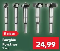 Burghiu Forstner
