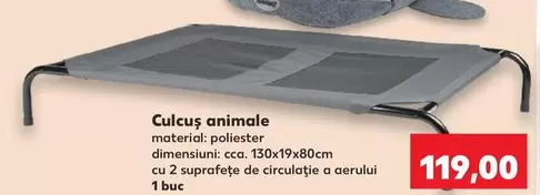 Zoofari - Culcus Animale
