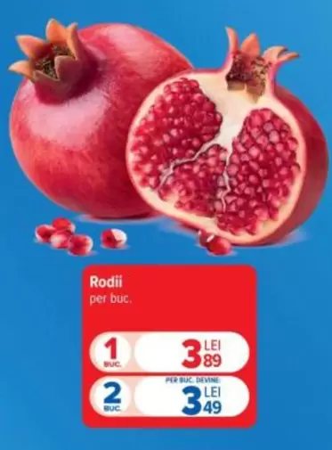 Rodii