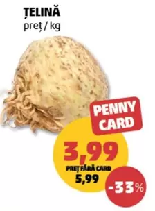 ȚELINĂ