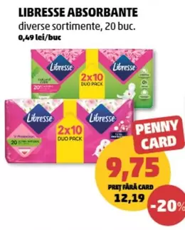 Absorbante