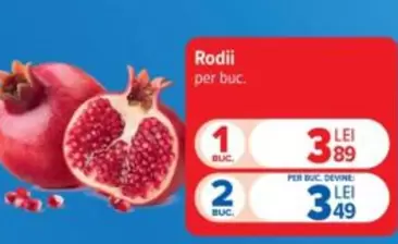 Rodii