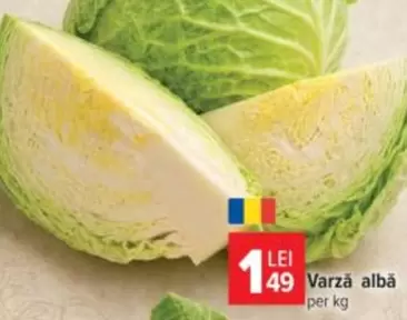 Varză albă