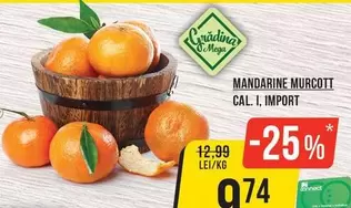 MANDARINE MURCOTT