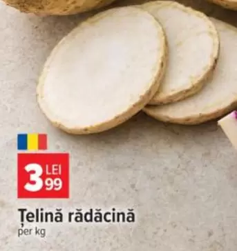 Țelină rădăcină