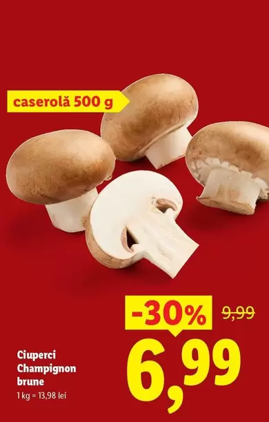 Ciuperci Champignon brune