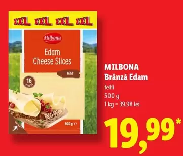 Edam Cheese Slices