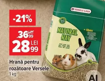 Hrană pentru rozătoare