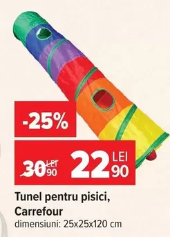 Tunel pentru pisici