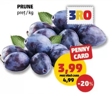 PRUNE