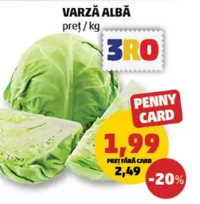 Varză Albă