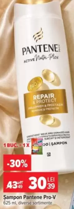 Șampon