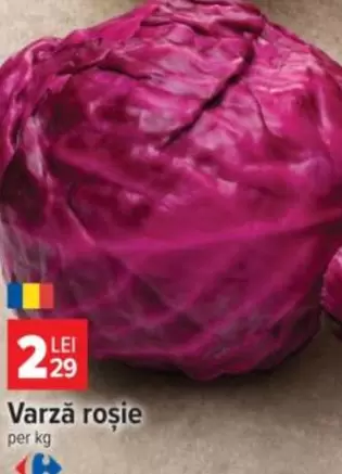 Varză roșie